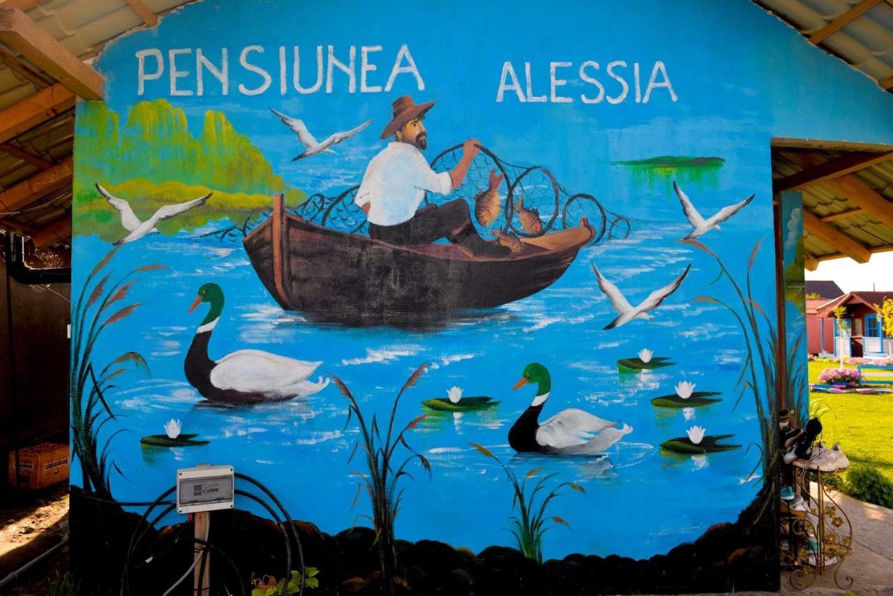 Pensiunea Alessia Murighiol Exteriör bild